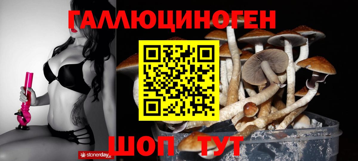 Протвино  Псилоцибиновые грибы Magic Shrooms  Вход с VPN  Псилоцибиновые грибы мицелий 